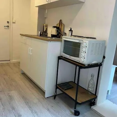 Sentral Leilighet I Gamle Apartment *